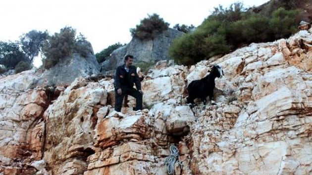 Vanda kei kurtarma operasyonu  