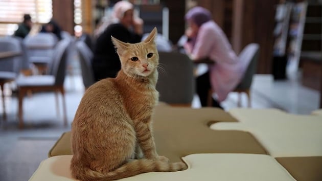 'Mdr' Millet Kraathanesi'nin maskotu oldu