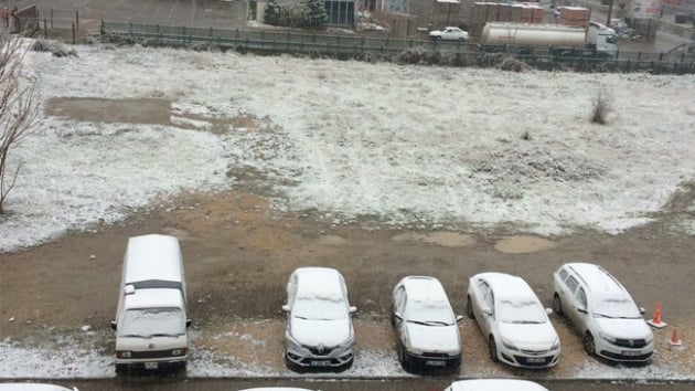 Bolu Da'nda kar ya balad