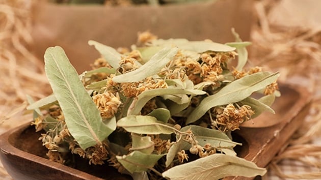  Ihlamurun kilosu altnla yaryor