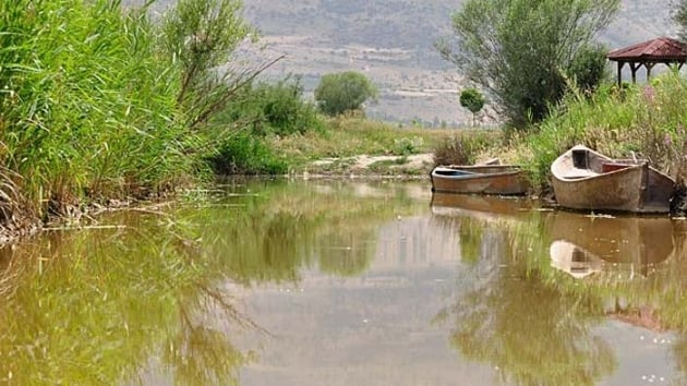 Uzmanndan Eber Gl'n kurtarma nerileri