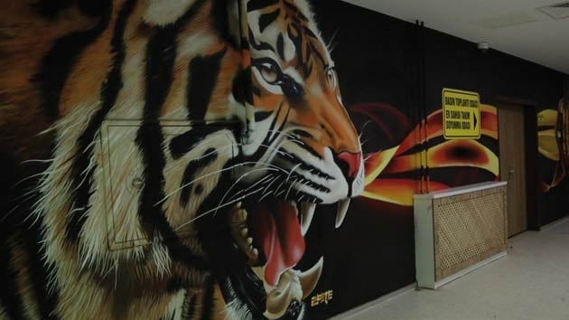 Yeni Malatyaspor'un stad graffiti ile ssleniyor