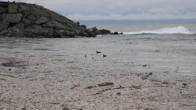 Rize'de deniz yzeyi plerle kapland