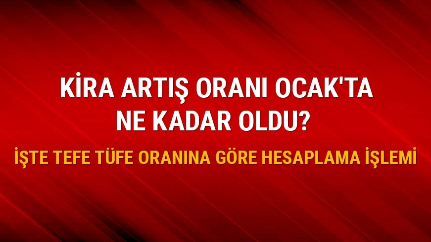 T�FE Aral�k'ta y�zde 0.40 azald�