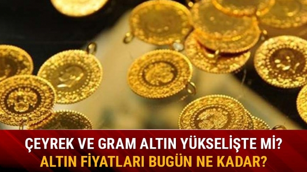 Gram altn 223 lira seviyelerinde