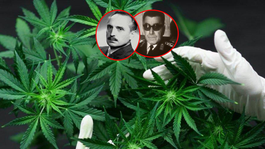 ��te keneviri 'T�rkiye'den s�k�p alanlar'
