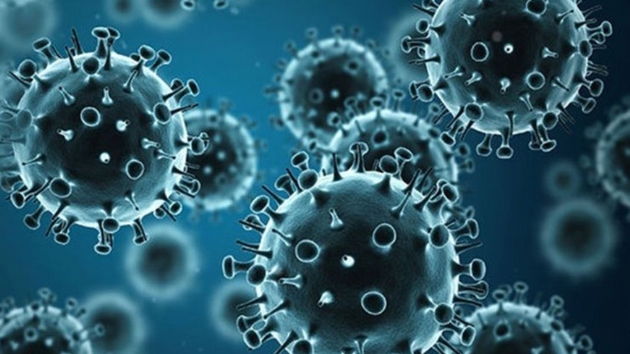 Romanya'da 25 kii grip nedeniyle ld