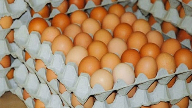  Trkiye genelinde tavuk ve yumurta retimi artt
