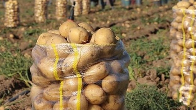 Gmrk vergisiz patates ithalat 20 Nisan'a kadar yaplabilecek