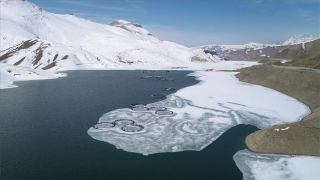 Van'n Zernek Baraj Gl'nde buzlarn erimesiyle balklar da avlanmaya balad