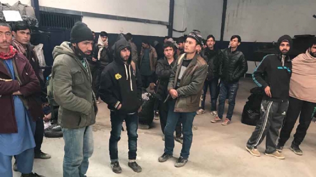 Edirne'de 340 dzensiz gmen yakaland