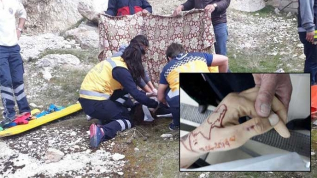 Van'da 'mavi balina' intihar