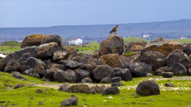Diyarbakr ahinlere ev sahiplii yapyor