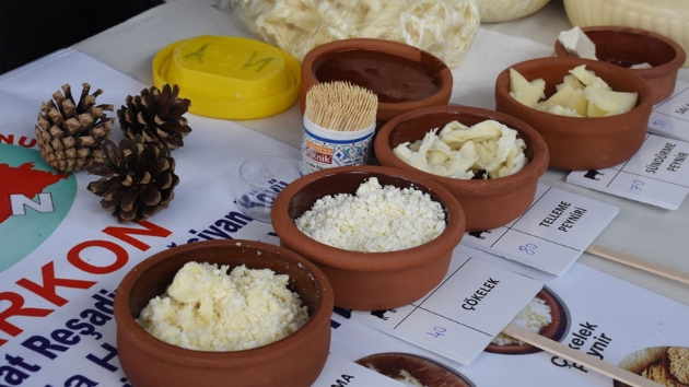 Bodrum'da Uluslararas Peynir Festivali balad