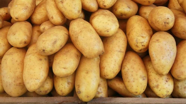 Patates ithalatnda ''sfr gmrk vergisi'' uygulamas 31 Mays'a kadar srecek