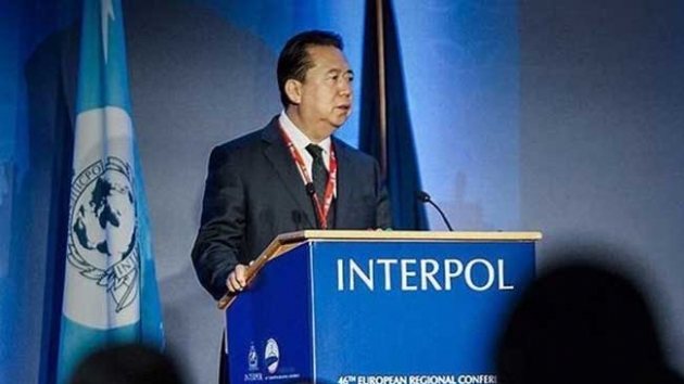 Eski Interpol Bakan Mng rvet sulamasyla tutukland