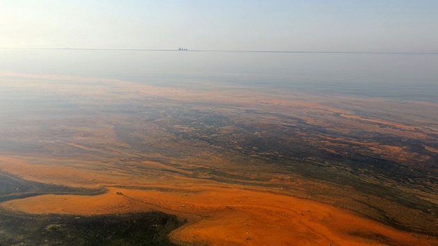 Planktonlarn oalmasyla deniz kys renklendi