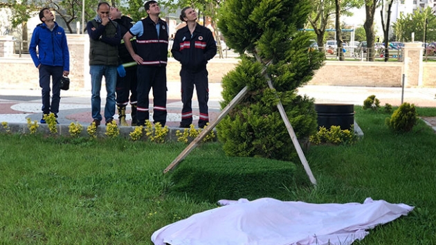 Lks rezidansta sr lm