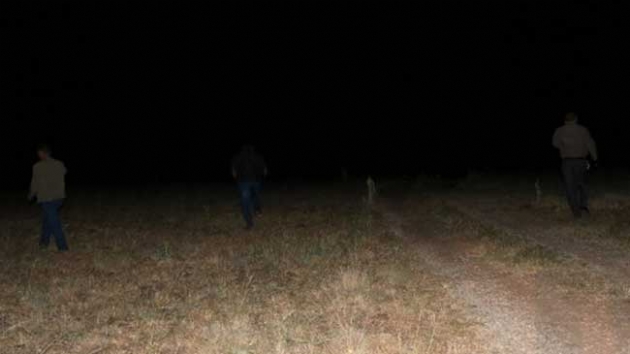 Koyun otlatan kadn arazide l bulundu