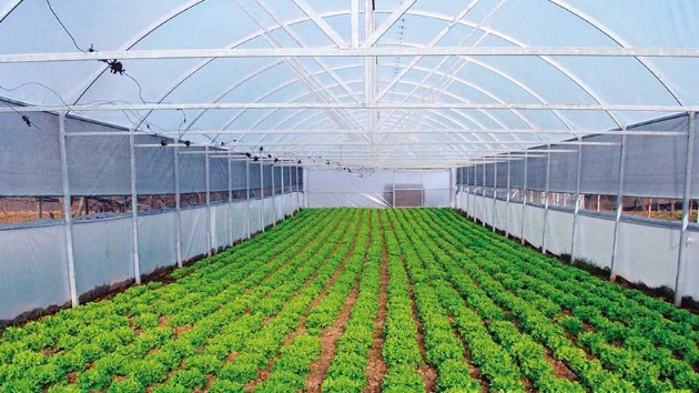 Seraclk kredisine youn ilgi