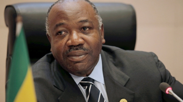 Gabon'da kevazingo kerestesi skandal: ki bakan grevden alnd