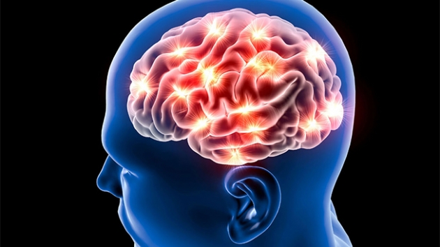 Beyin yaam boyunca yeni hcreler retebiliyor