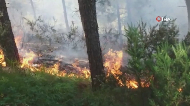 Aydos ormanlarnda yangn
