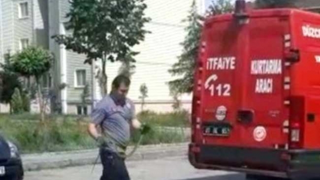 Düzce’de yılan paniği