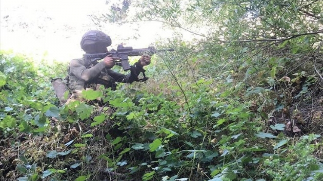 Pene Harekat'nda 13 gnde 43 terrist etkisiz hale getirildi