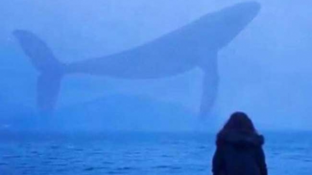Pompal tfekle intiharda 'Mavi balina' phesi