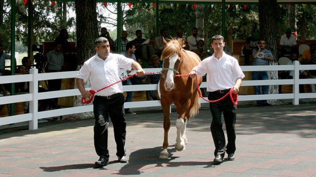TGEM 249 tay satacak 