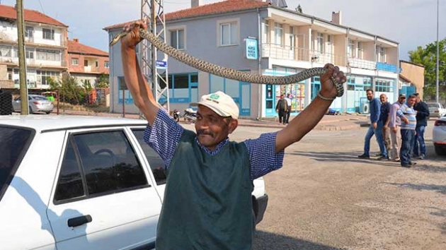 Otomobil tamponundaki ylan elleriyle kard