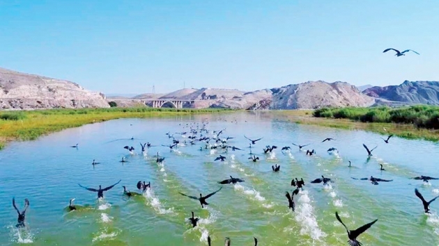 Nallhan Ku Cenneti misafirlerini bekliyor