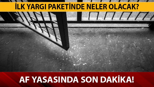 Cumhurbakan Erdoan'dan af aklamas: Herkesi serbest brakamayz