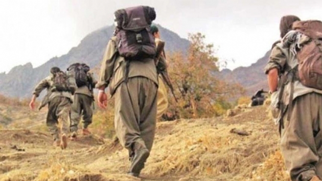 rnak'ta PKK'l terristler kardklar iki oban ldrd