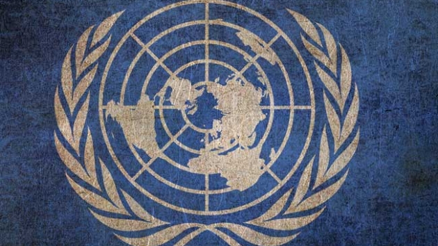 BM'den Husilere 'idamlar durdurun' ars