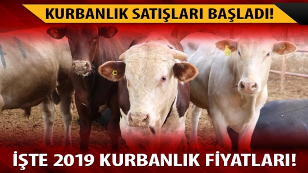 2019 kurban satlar balad
