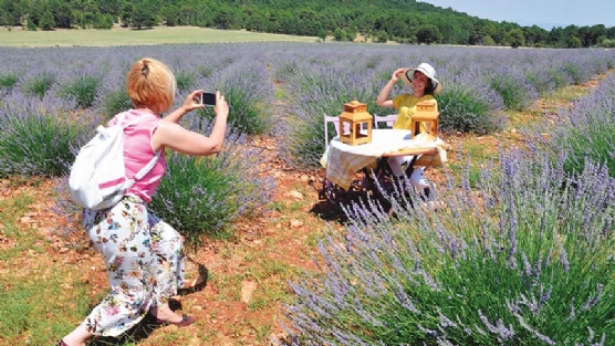 Lavanta kokulu turizm