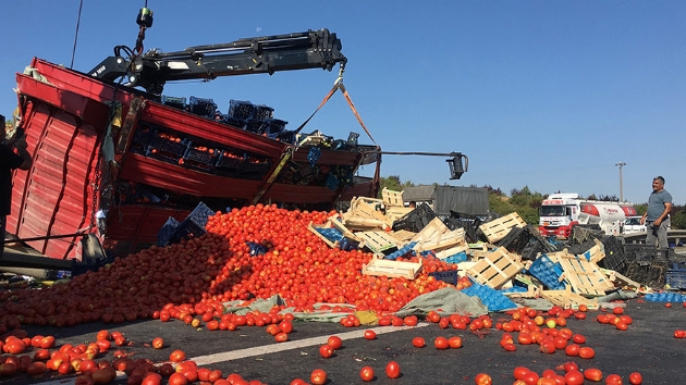 TEM'de kamyon devrildi: Tonlarca meyve ve sebze yolla dkld