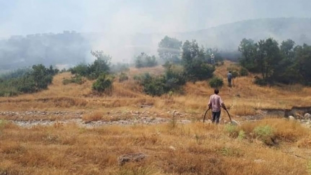 Antalya'da kan orman yangnnda 1 hektarlk alan zarar grd