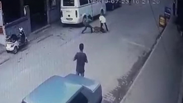Hamile kediyi pitbullun azna atan ocuklardan kan donduran szler