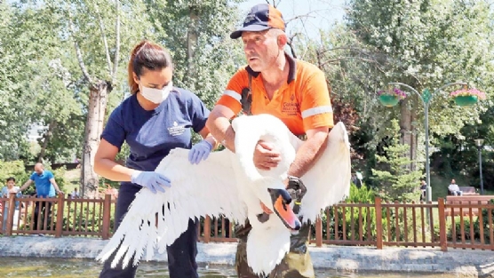 Kuuluparkn sakinleri salkl