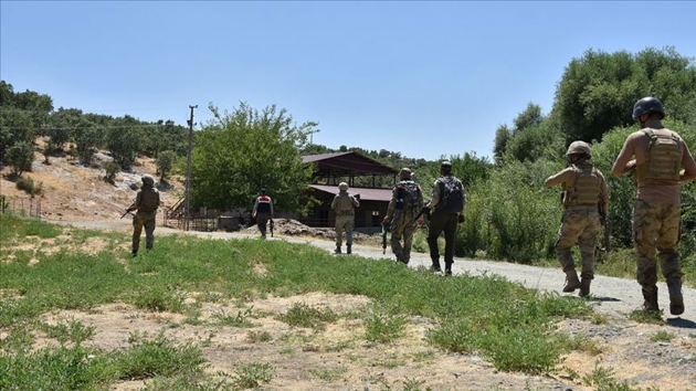 Diyarbakr'da terr rgt PKK'ya ynelik narkoterr operasyonu