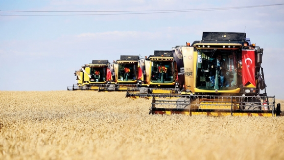 Ankarann tarm retimi ykseldi