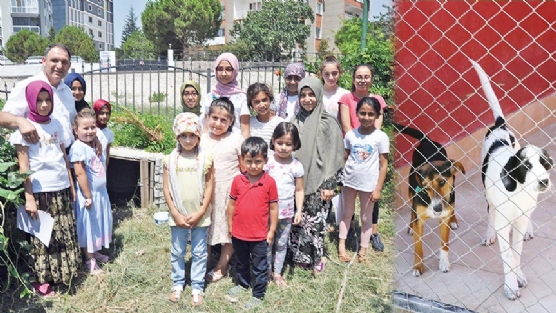 renciler hayvan sevgisini bire bir yayor