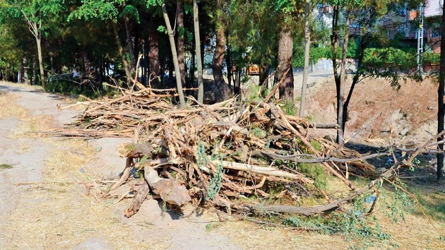 HDP'li belediye acmadan 170 aac kesti
