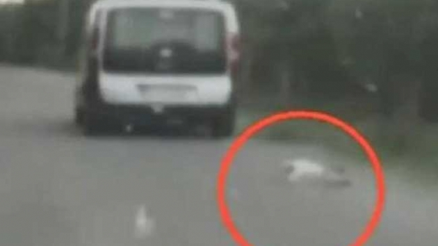  Aracnn arkasna balad kpei srkleyen kii  serbest brakld 