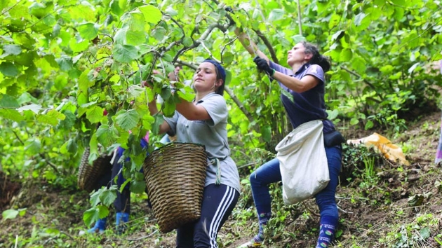 Fndkta alm ve enlik zaman