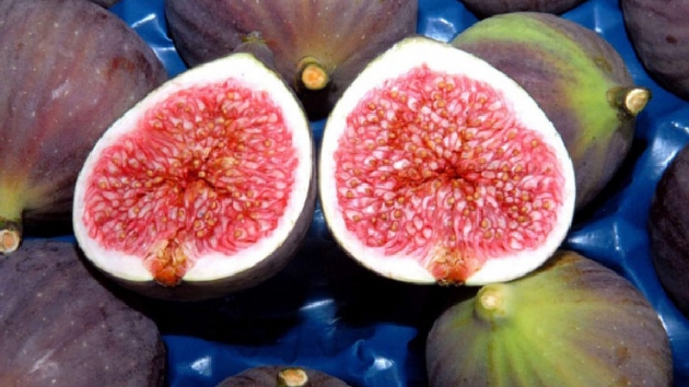 Bursa Valiliinden 'siyah incir' genelgesi