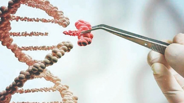 Doktorlar gen dzenlemeyi baard 